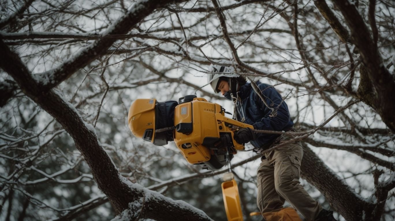regular tree maintenance to prevent emergencies